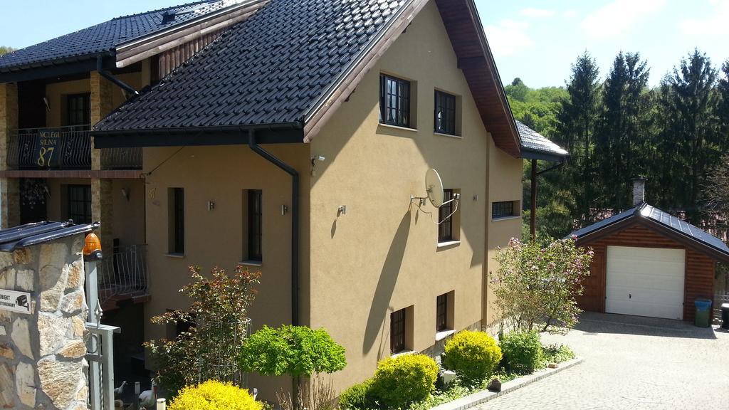 Willa Solina Hotel Solina  Exterior photo